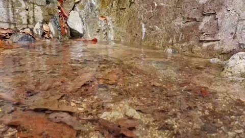 The sound of water in the mountains.