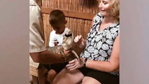 Crocodile Attacks Kids