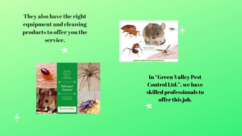 Get A Fabulous Pest Control Service In Vancouver: Call Us Now!