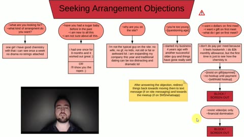 16. SA Objections Flowchart EXPLANATION