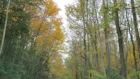 Driving Through the Smokey Mountains