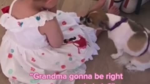 Toddler Calms Down Dog With Separation Anxiety