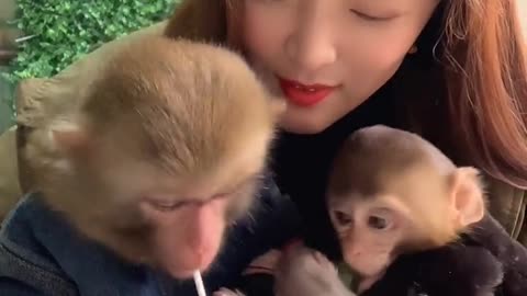 OMG SOO Cute and smart funny baby monkey videos - must watch Aww animals 2021