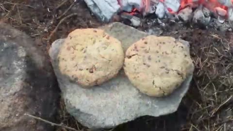 PRIMITIVE SURVIVAL, WILD FOOD - ACORN BISCUTS