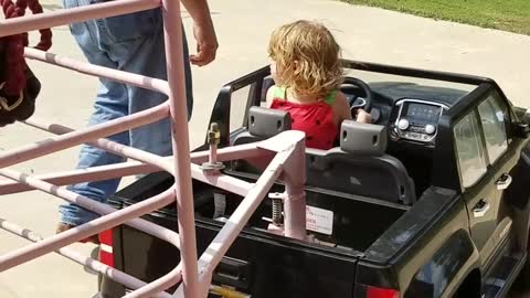 Toddler Tows Mini Horse in Custom Trailer