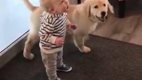 Funny Babies and Animals Video THE BEST Adorable Baby and Animals Compilation