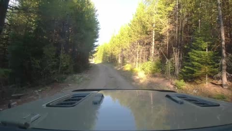 Blacktail Wild Bill, Blacktail Mtn, MT - Jeep Badge of Honor