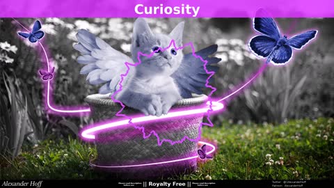 #Funny Music #Curiosity