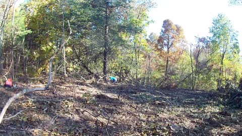 Day 3 - clearing the power line path continues