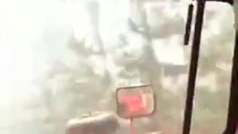 Driving through forest fire