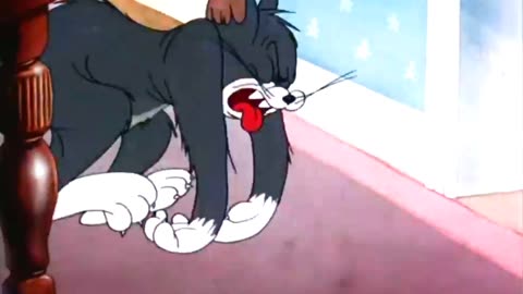 Tom and Jerry full episode 2024 Tom and Jerry show//Tom and Jerry cartoon