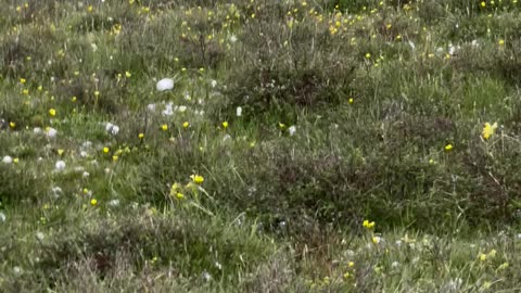 Huge Hail In Mountains