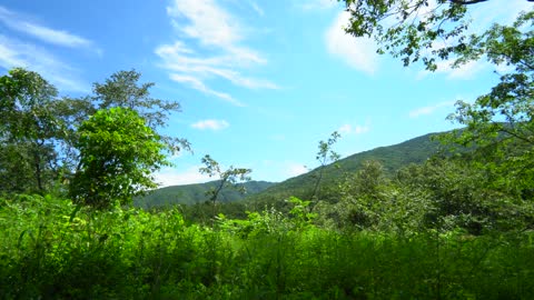 Summer valley water sound and blue sky scenery