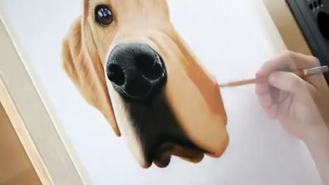 Drawing beautiful realistic dogs with pastel colors in red.