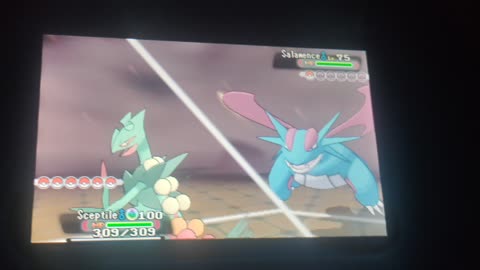 Pokemon Alpha Sapphire:Mega Dragon Battle