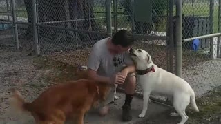 Veteran Is Reunited With His Missing Dog After 22 Days