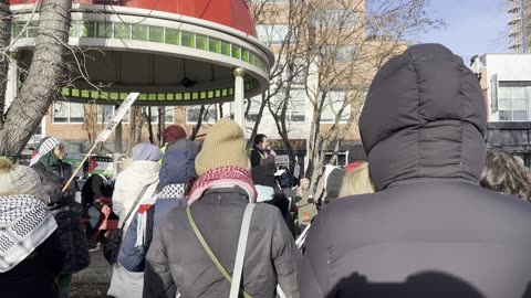 Pro-Palestine Protest