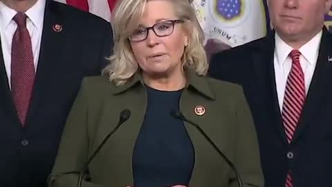 Liz Cheney rips Trump supporters for questioning Soviet-born impeachment witness Alexander Vindman