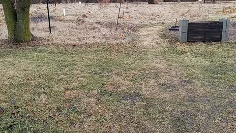 Spreading White and Crimson Clover on Pathways