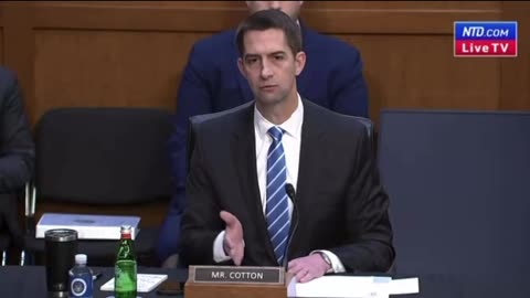 Tom Cotton: Murder rates from Countries of those coming across our border/ Murders in the US