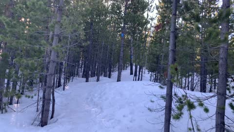 Alpine Pines – Upper Three Creek Lake Sno-Park – Central Oregon – 4K