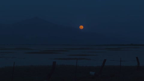 mixkit-skyline-of-a-desert-with-the-moon-at-night