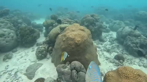 Tour of Lakshadweep with Modi ji