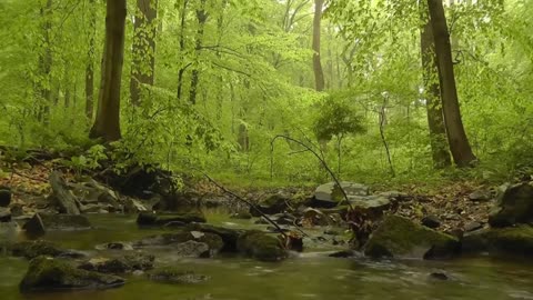 Relaxing River Sound