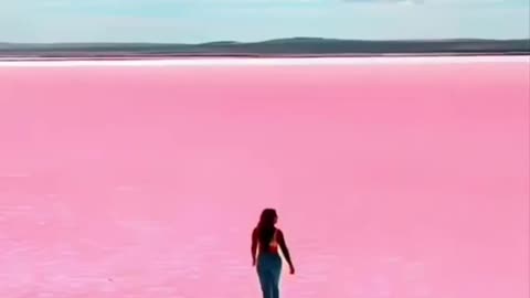 Pink salt lake