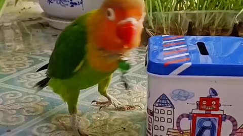 Intelligent & Smart Parrot