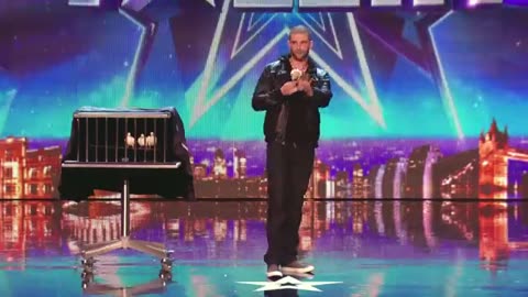 Darcy oake's jaw dropping Dove illusions.