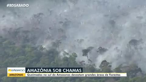 Dia 05/08/23 sábado de Sol ☀️ Os maconheiros tava doidão querendo o meu feijão...