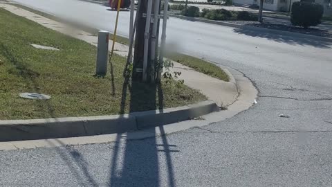 Massive Wheel of Wire Rolls Away