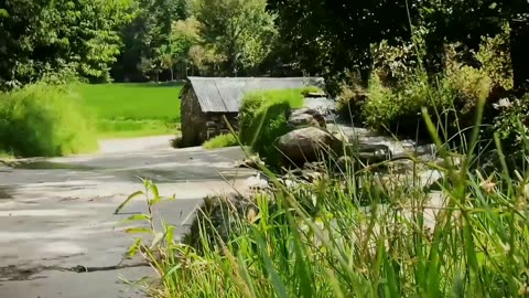 More than 100 Years Old Natural Water Flour Mill / Unique Technically Flour Mill