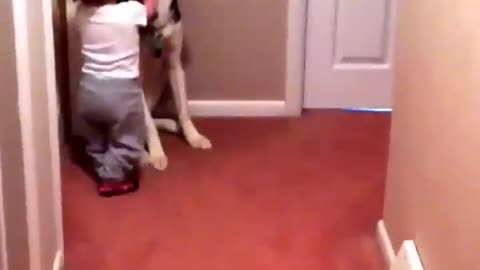 Dog Protects Baby From 'Angry' Mother During Training