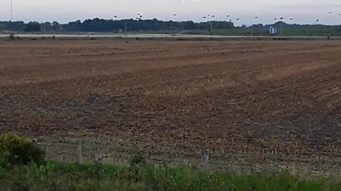 "The Annual Goose Flock Conference" in Watertown, Wi October 2,2022