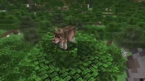 Unveiling the Stunning Textures of New Wolf Variants in Minecraft