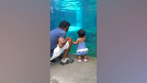 Beluga Whale is AMAZED by Tricks!