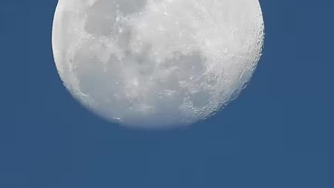 Watch the moon