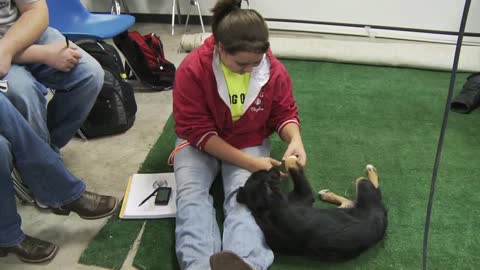 Ag Business and Animal Science at Hawkeye Community College