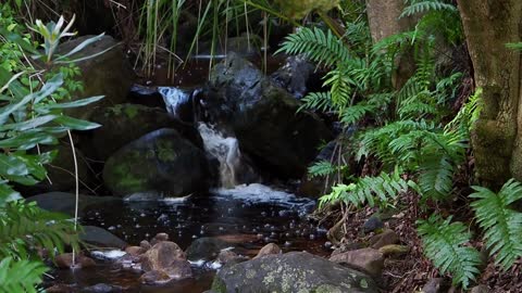 slow music with water sound