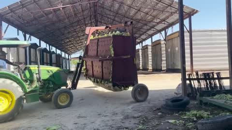 It's harvest season for Tobacco, Cotton and Peanuts in Northampton and Halifax Counties!