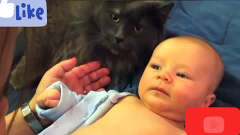 Cats Meeting Babies Compilation Part 02