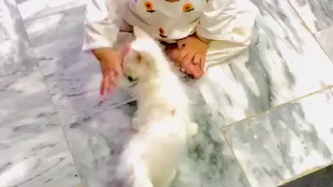 Baby Girl playing with Cat