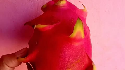 Dragon fruit