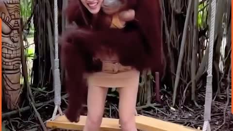 THESE MONKEYS SHOW PERVERTNESS TO PEOPLE