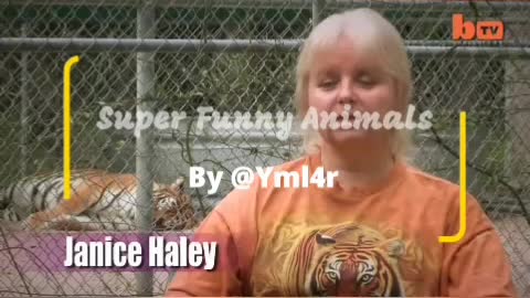 Florida Woman Keeps Bengal Tigers In Her Garden | funny behaviors