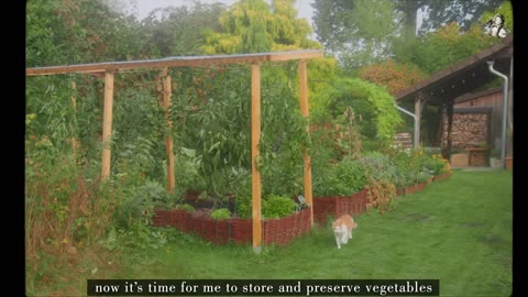 Storing Preserving Homegrown Vegetables for Years Countryside Life