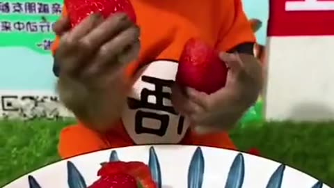 Fastly eating strawberries cute baby monkey.