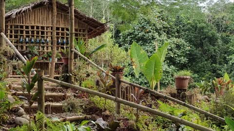 Bamboo-nipa hut